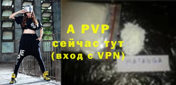 a pvp Бородино