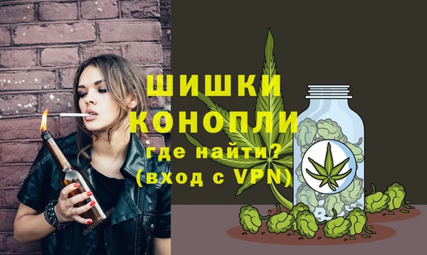 стаф Михайловск