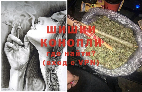 стаф Михайловск